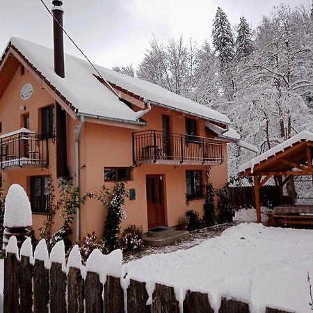 Casa Iulia & Matei Villa Cartisoara Ngoại thất bức ảnh