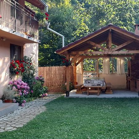 Casa Iulia & Matei Villa Cartisoara Ngoại thất bức ảnh