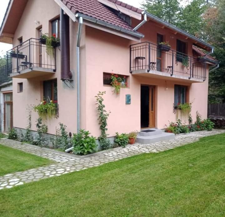 Casa Iulia & Matei Villa Cartisoara Ngoại thất bức ảnh