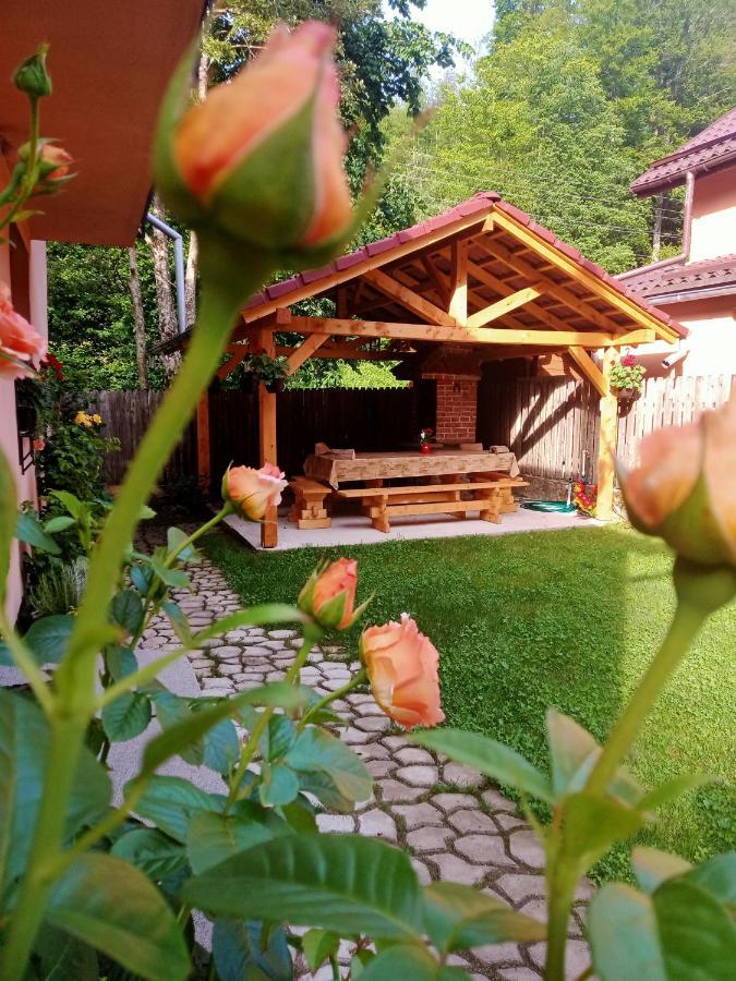 Casa Iulia & Matei Villa Cartisoara Ngoại thất bức ảnh