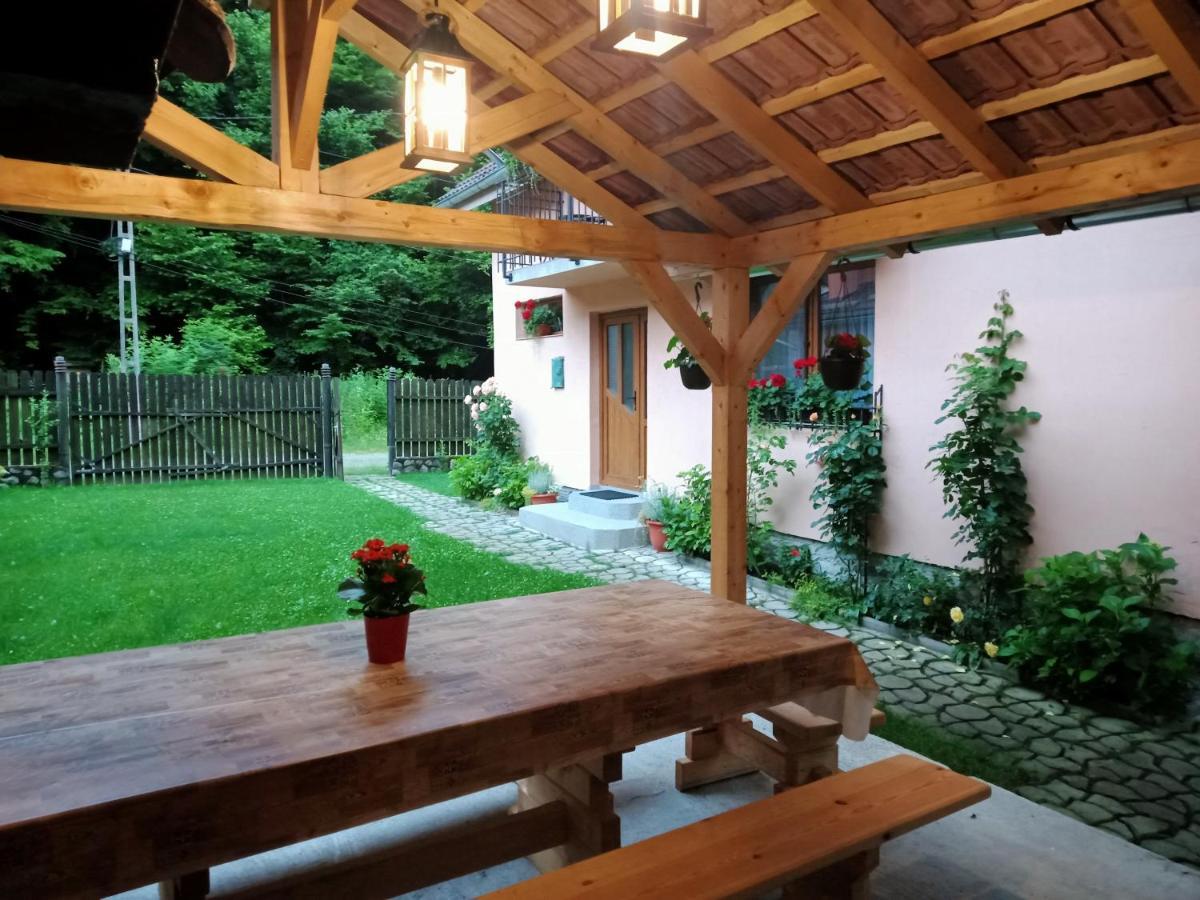 Casa Iulia & Matei Villa Cartisoara Ngoại thất bức ảnh