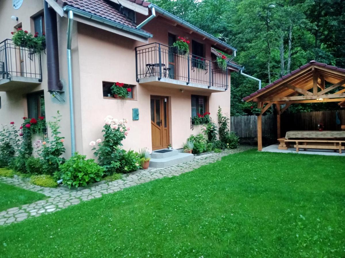 Casa Iulia & Matei Villa Cartisoara Ngoại thất bức ảnh
