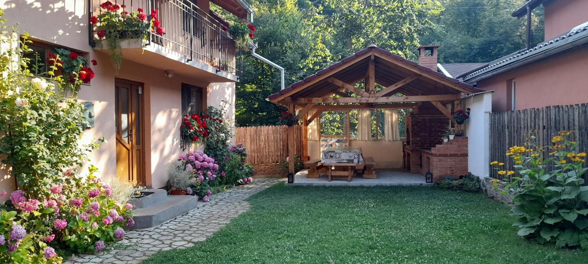 Casa Iulia & Matei Villa Cartisoara Ngoại thất bức ảnh